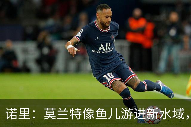 诺里：莫兰特像鱼儿游进新水域，逐步找到节奏